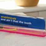 ANATOMICALS WHITENING TOOTHPASTE & TOOTHBRUSH REVIEW